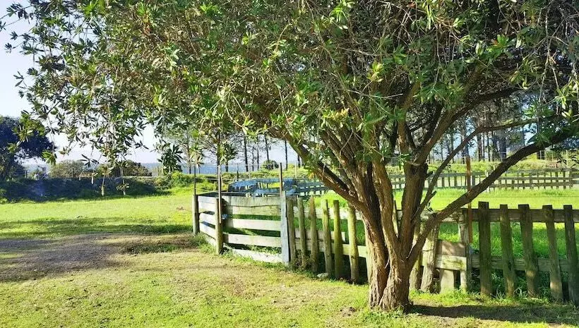 Retkeilymaja Moonsong Accommodation & Camping