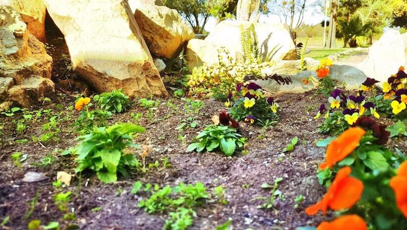 فندق صغير Moonsong Accommodation & Camping