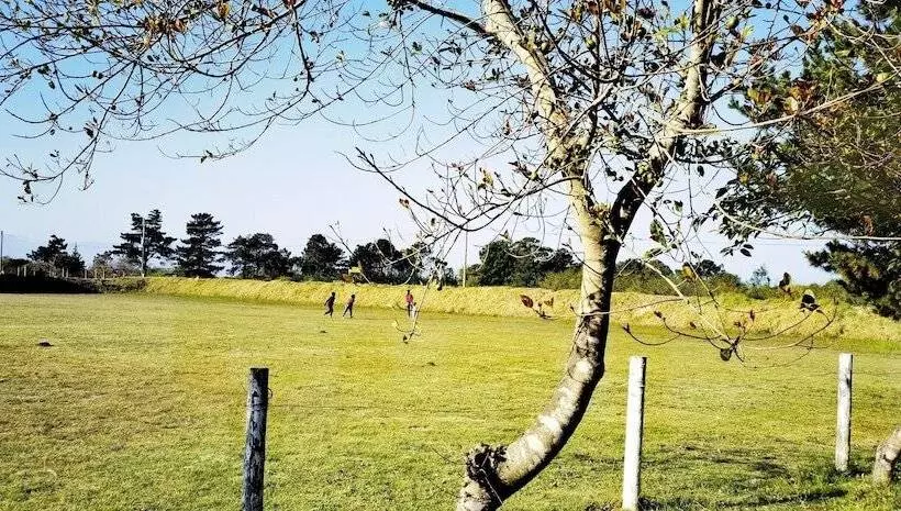 Retkeilymaja Moonsong Accommodation & Camping