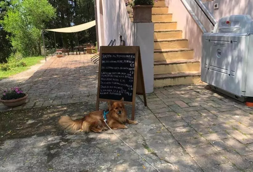 Aamiaismajoitus (B&B) Bb Gli Aristogatti