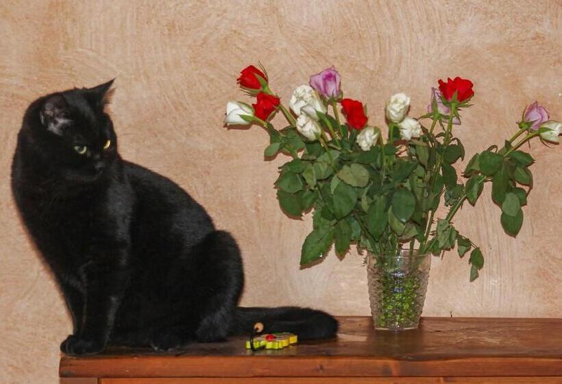 צימר Bb Gli Aristogatti