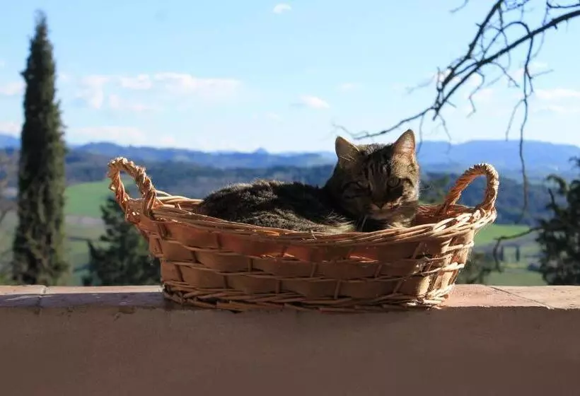 Aamiaismajoitus (B&B) Bb Gli Aristogatti