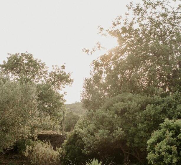 مبيت وإفطار Casa Brava   Algarve