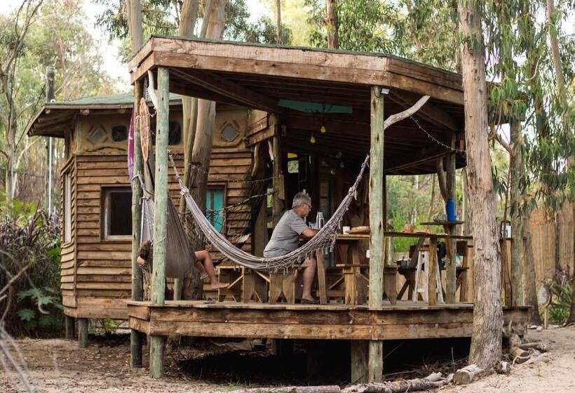 Bed & Breakfast Flor De Vida Geocabañas   Domos Geodésicos