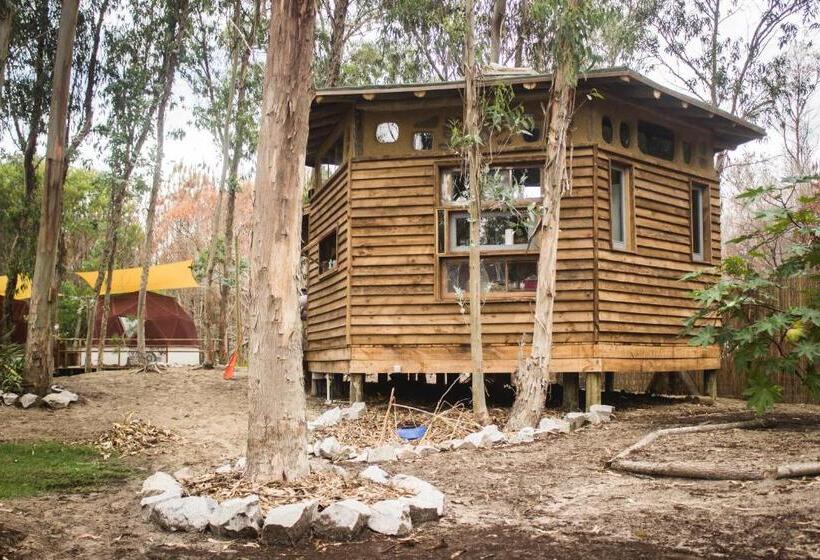 Bed & Breakfast Flor De Vida Geocabañas   Domos Geodésicos