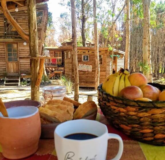 Bed & Breakfast Flor De Vida Geocabañas   Domos Geodésicos