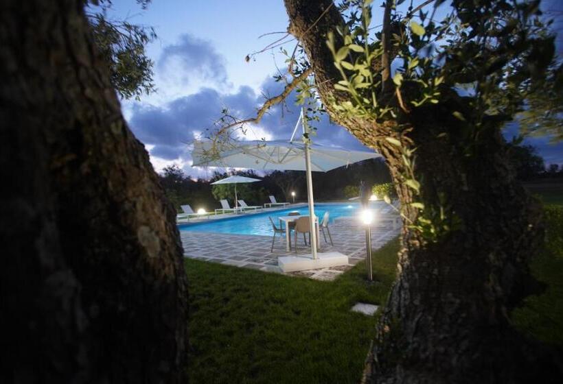 Bed and Breakfast Gli Ulivi Di Gino