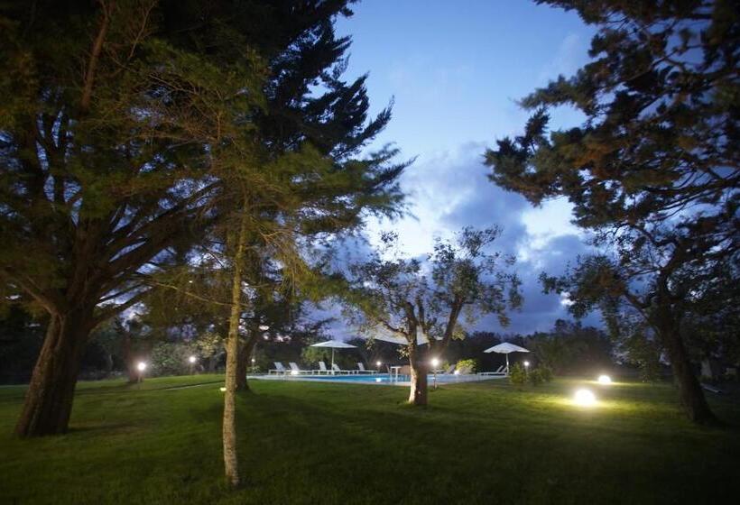 Bed and Breakfast Gli Ulivi Di Gino