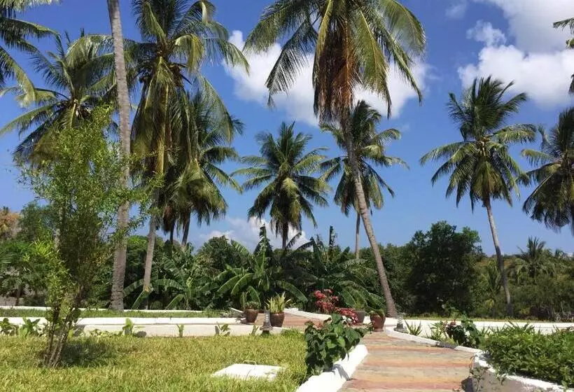 Aamiaismajoitus (B&B) Mafia Neptune Villa Lodge