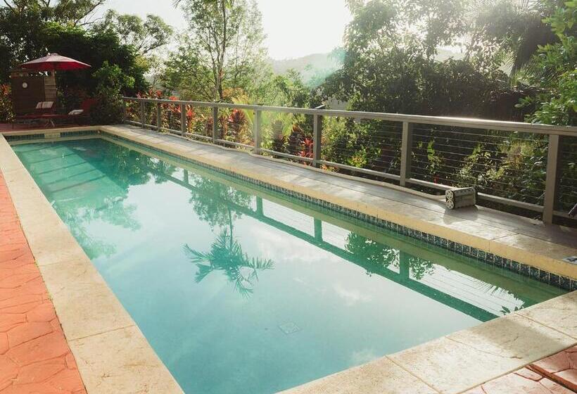 住宿加早餐  Marjorie S Kauai Inn