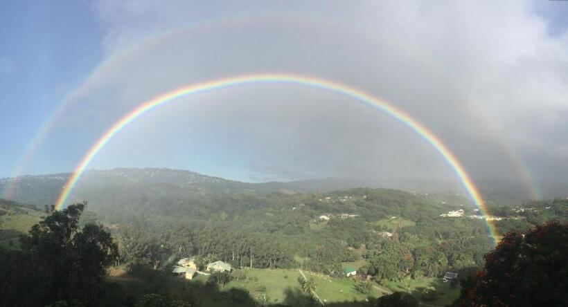 住宿加早餐  Marjorie S Kauai Inn