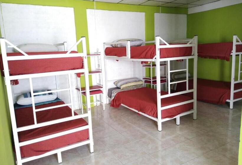 Hostel Richieri