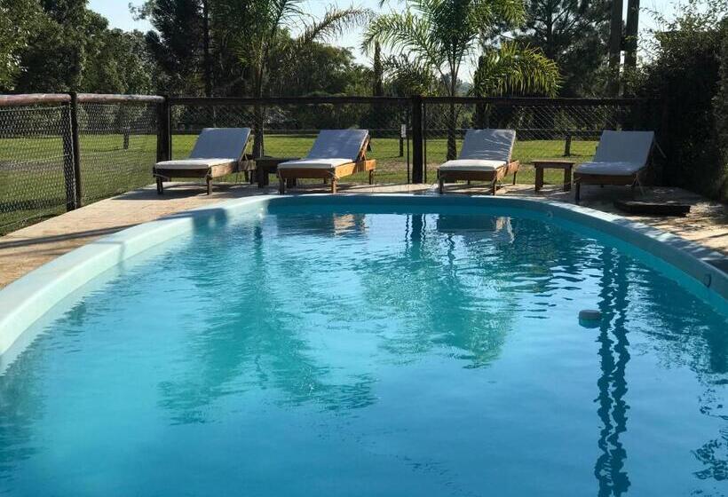 ホテル Cabanas Los Troncos