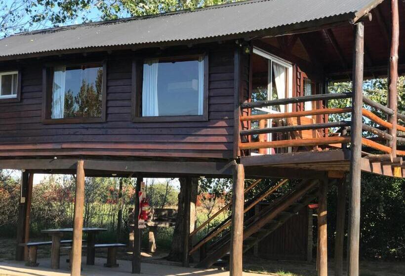 ホテル Cabanas Los Troncos