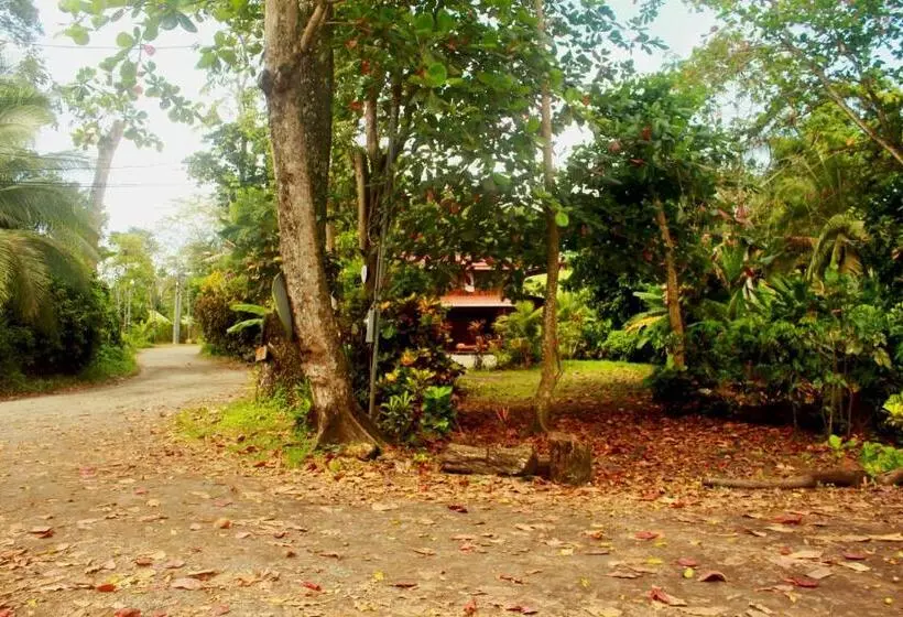 ホテル Casa Natural Puerto Viejo