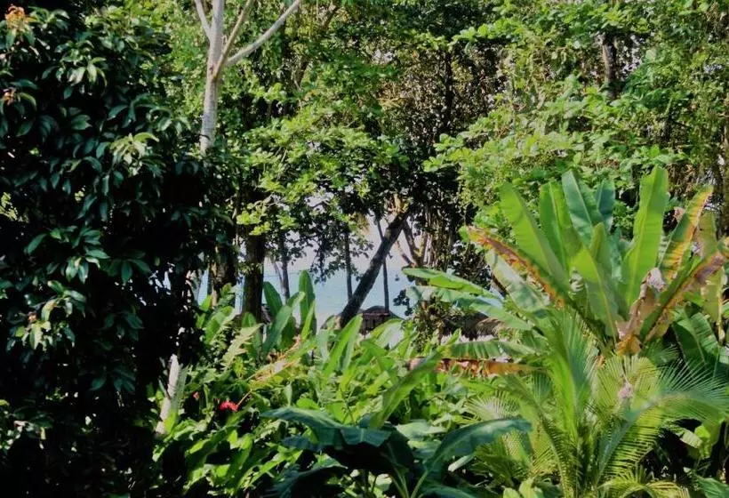 ホテル Casa Natural Puerto Viejo