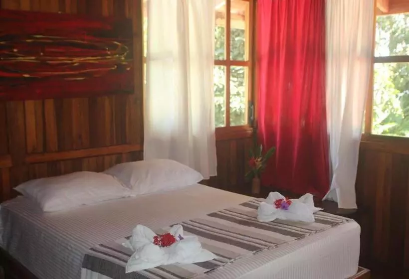 ホテル Casa Natural Puerto Viejo