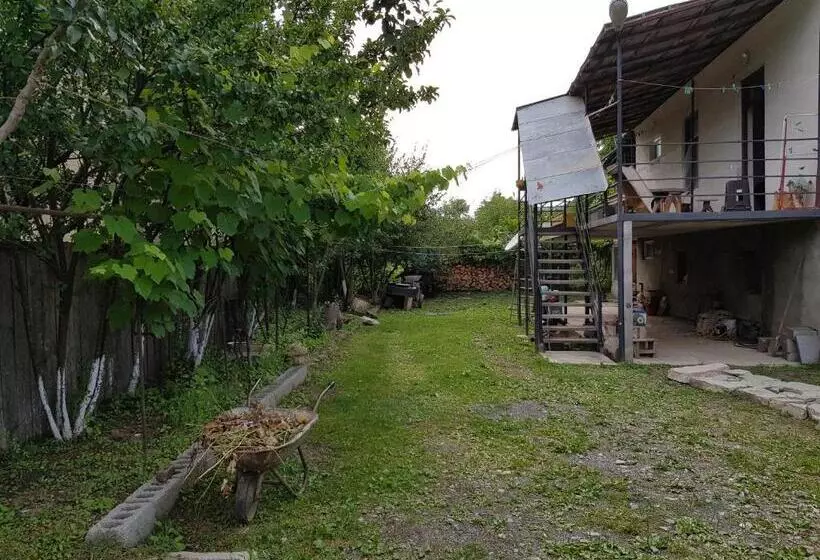پانسیون Ethno House Inn Tianeti