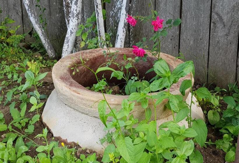 پانسیون Ethno House Inn Tianeti