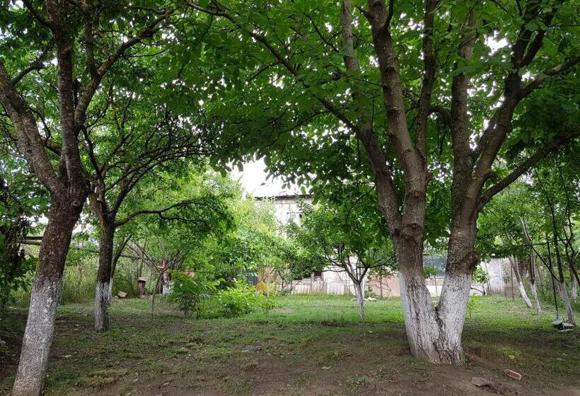 پانسیون Ethno House Inn Tianeti