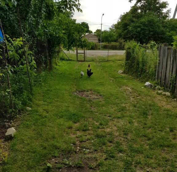 پانسیون Ethno House Inn Tianeti