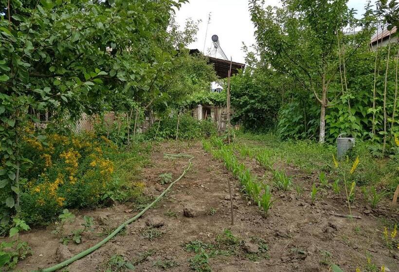 پانسیون Ethno House Inn Tianeti