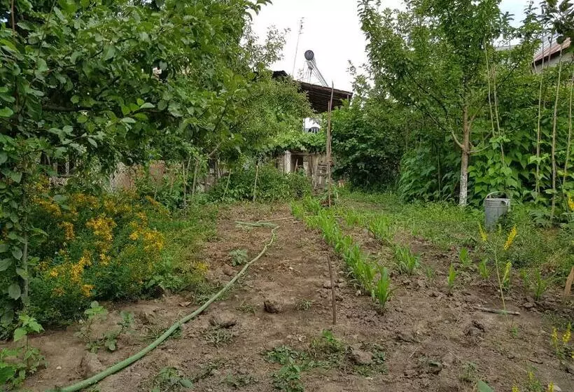 پانسیون Ethno House Inn Tianeti