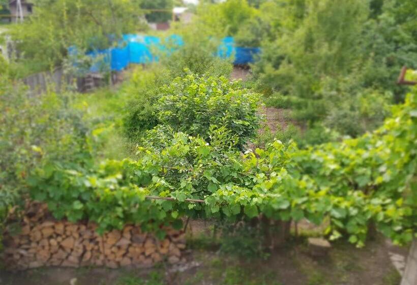 پانسیون Ethno House Inn Tianeti