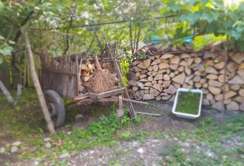 پانسیون Ethno House Inn Tianeti