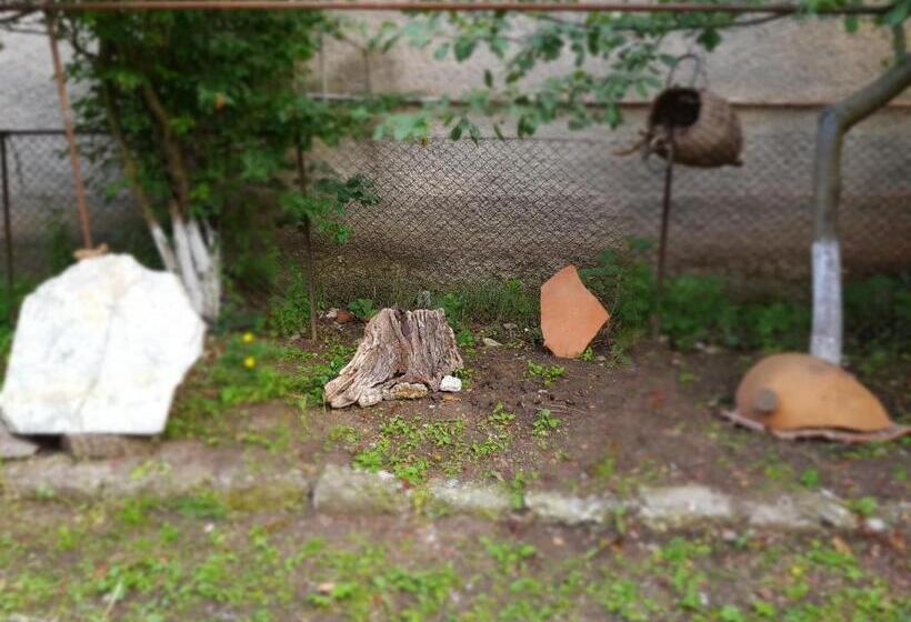 پانسیون Ethno House Inn Tianeti