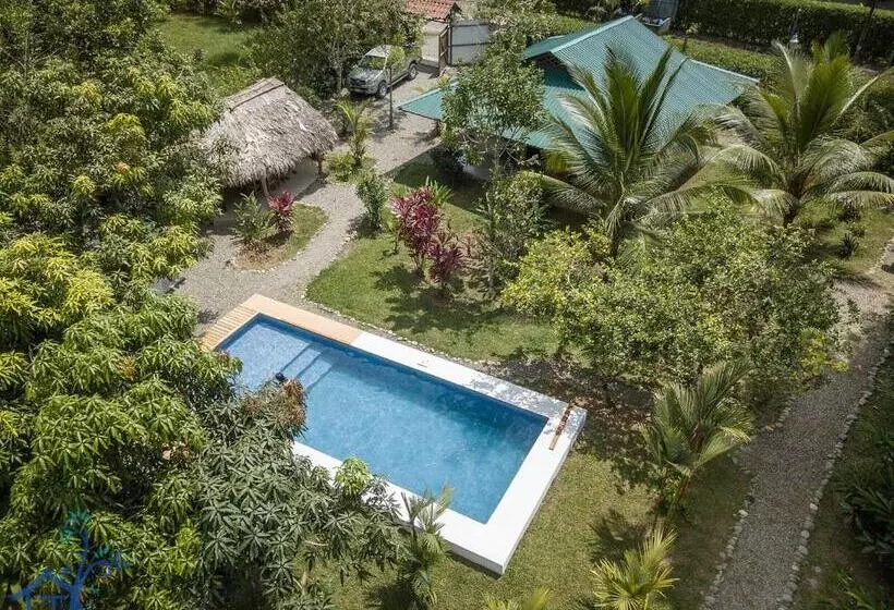 ペンション Villa Mango   Private Pool   12px