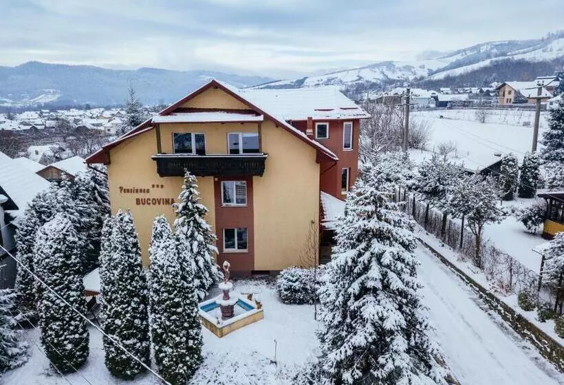 Pensiunea Bucovina