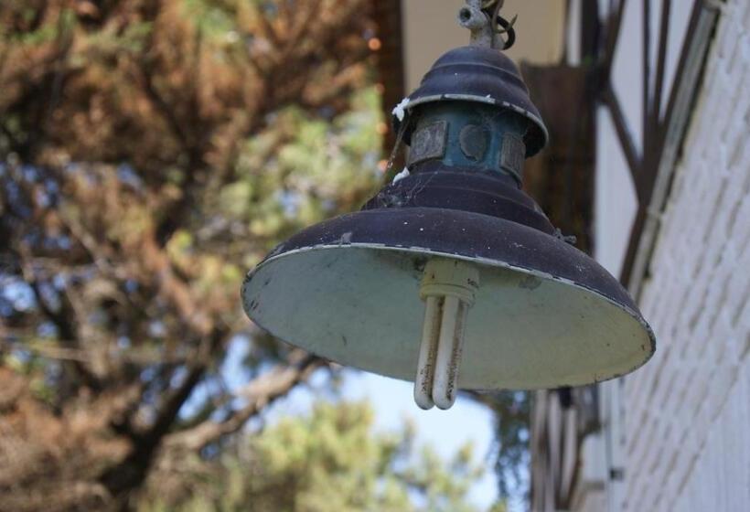 הוסטל Hosteria Actinia