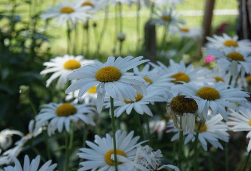 הוסטל Hosteria Actinia