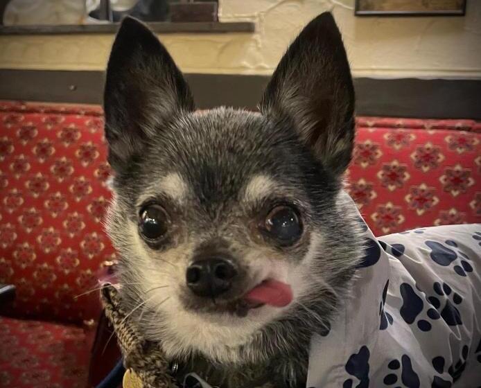 Vandrarhem The Unicorn, Ambleside