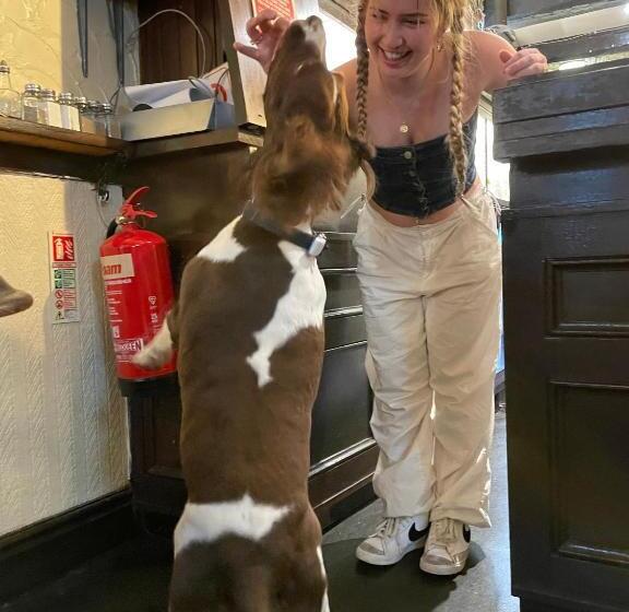 Vandrarhem The Unicorn, Ambleside