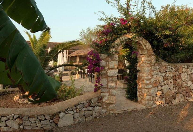 Bed and Breakfast Hacienda D Armando