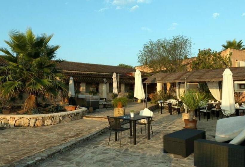 Bed and Breakfast Hacienda D Armando