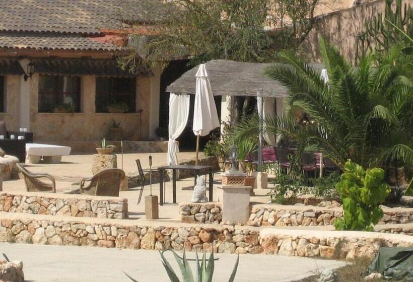 Bed and Breakfast Hacienda D Armando