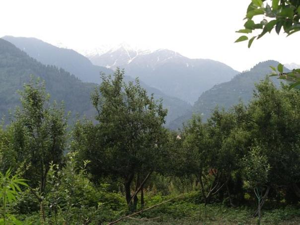 تختخواب و صبحانه Malis Apple Lodge