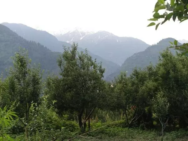 Aamiaismajoitus (B&B) Malis Apple Lodge