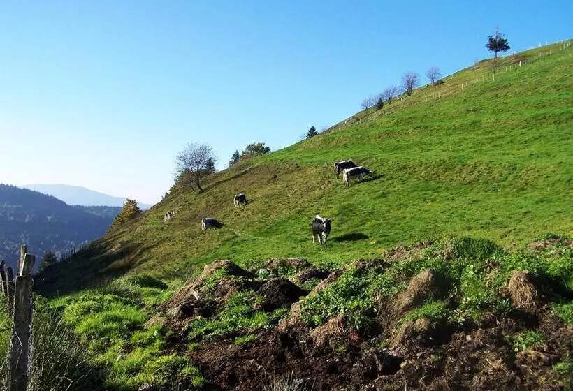 تختخواب و صبحانه Villa Moncoeur