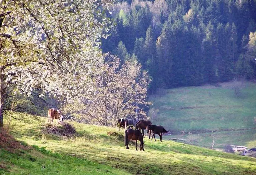 تختخواب و صبحانه Villa Moncoeur