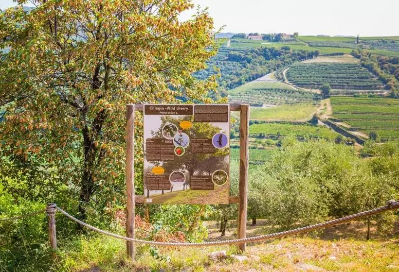 ホテル Agriturismo Casa Zen
