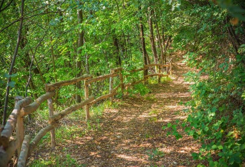 Отель Agriturismo Casa Zen