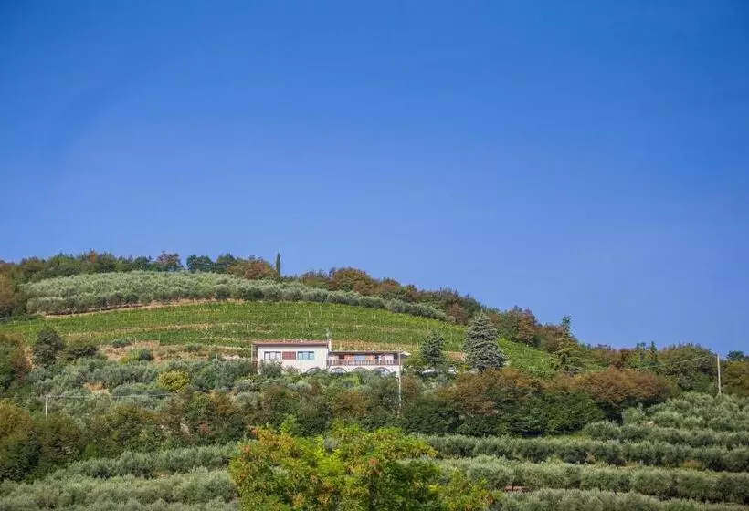ホテル Agriturismo Casa Zen