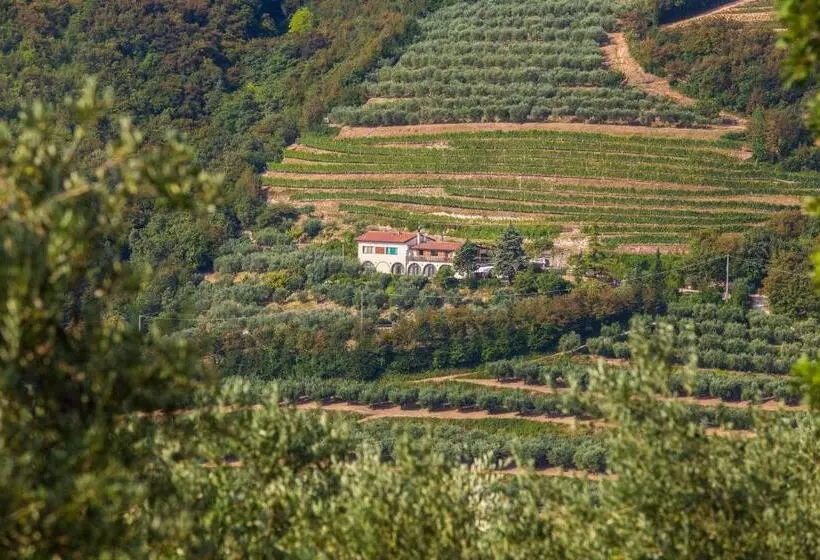 ホテル Agriturismo Casa Zen