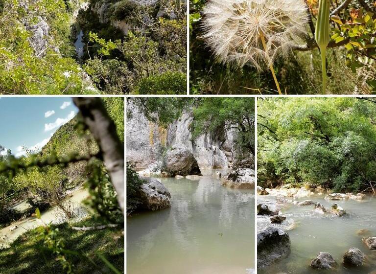 酒店 Auberge De La Tour  Appartements