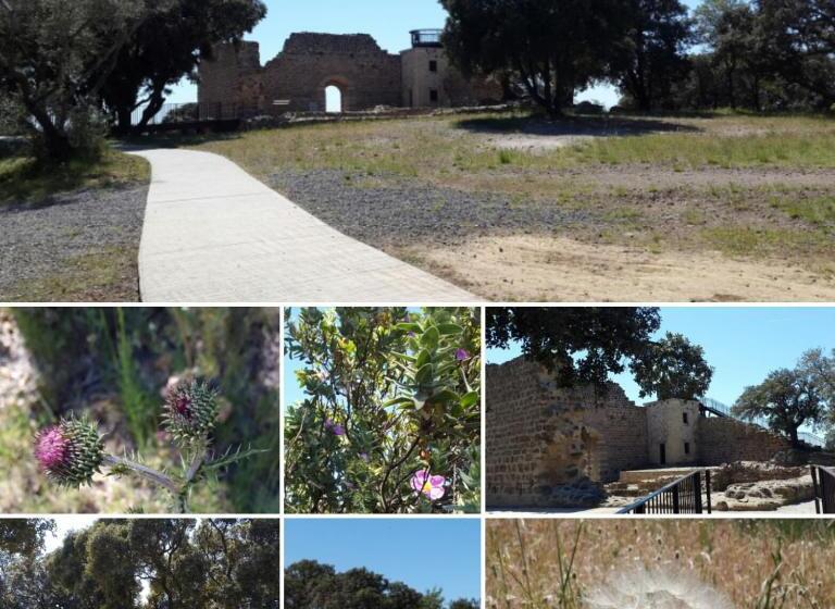 酒店 Auberge De La Tour  Appartements