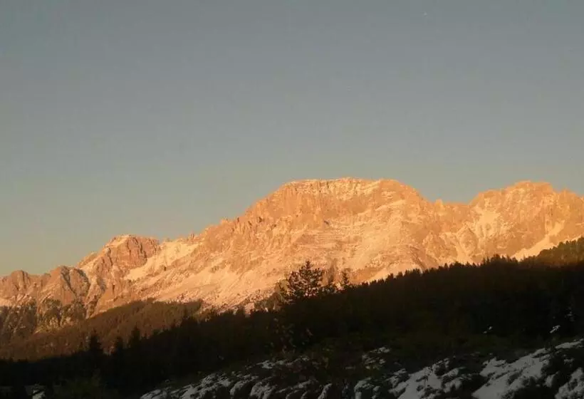 ホテル Dolomiti Appart&rooms